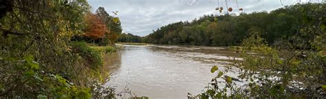 Rocky River Trail Loop: 113 Reviews, Map - North Carolina | AllTrails