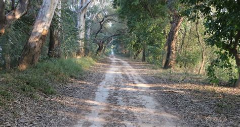 Harike Wetland and Bird Sanctuary Amritsar (Entry Fee, Timings, Safari ...