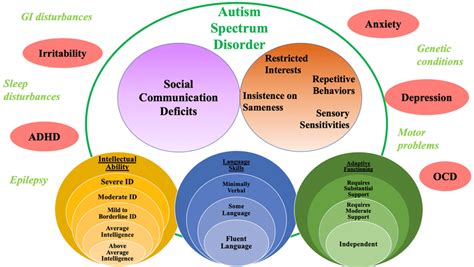 Overlap between categories and dimensions for core ASD symptoms and... | Download Scientific Diagram