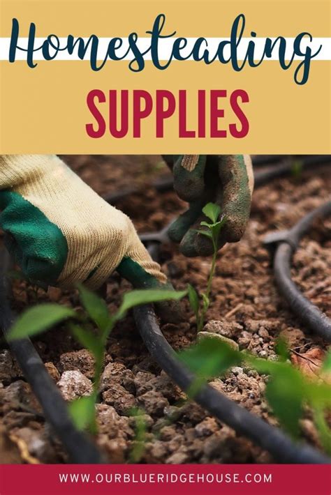 100 Homesteading Supplies | A Supply list for the Homestead - Our Blue ...