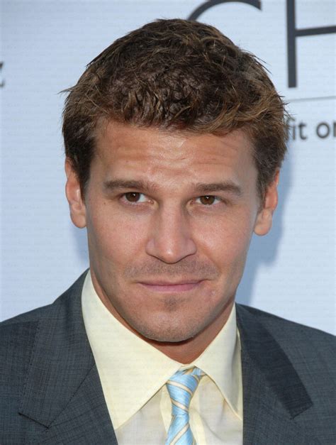 David - David Boreanaz Photo (640923) - Fanpop