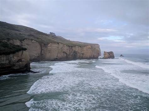 Top things to do in Tunnel Beach Dunedin