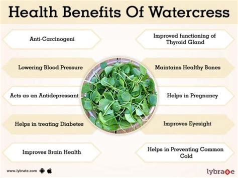 Health Benefits of Watercress | Nikki Kuban Minton