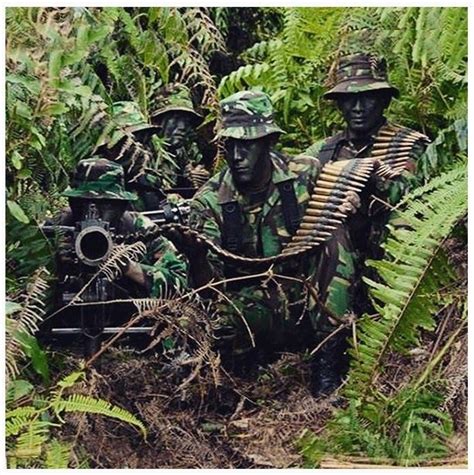 Download Gambar Tni Indonesia Potret Latihan Tni Yang Menegangkan 100 Beautiful Bali Pictures ...