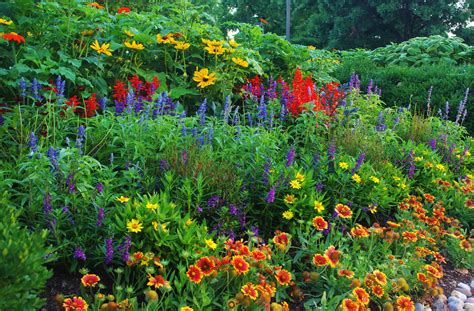 Diversity in Planting: Designing for Pollinators in Our 2016 Summer Display — Forest Park Forever