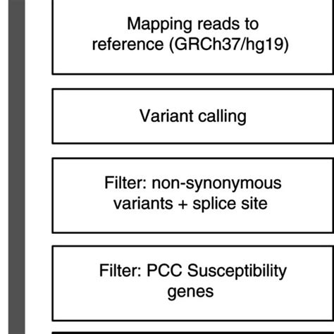 Bioinformatics pipeline for analysis of exome sequencing in the ...