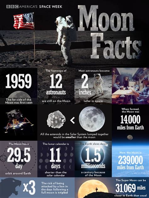 Fascinating Moon Facts | Anglophenia | BBC America | Moon facts, Moon ...