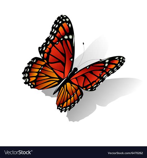 Monarch butterfly Royalty Free Vector Image - VectorStock