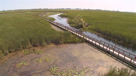 25-metre tower will offer a whole new view of Point Pelee's tip | CBC News