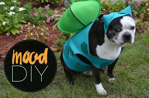 Mood DIY: Bulbasaur Dog Halloween Costume