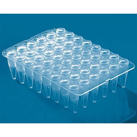 BRAND™ 48-Well PCR Plates Transparente | Fisher Scientific