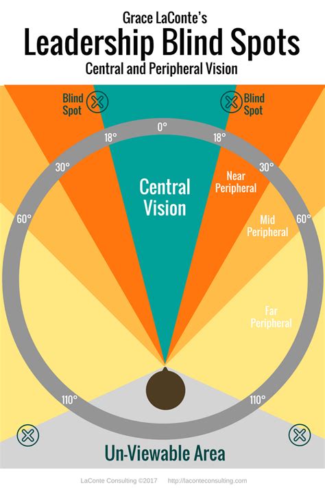 Leadership Blind Spots – Central and Peripheral Vision – LaConte Consulting