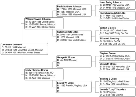 Johnson Family Tree - A walk in history