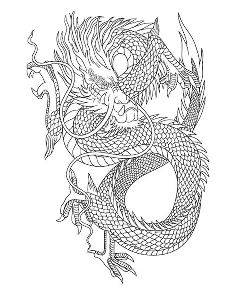 Premium Vector | Line art of Japanese fantasy dragon. Design vector Illustration