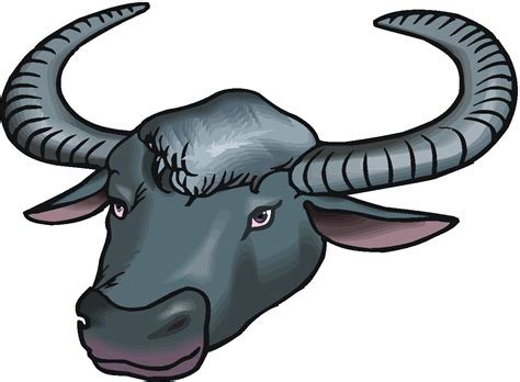 Buffalo Head Clipart | Free download on ClipArtMag