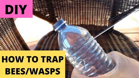 Bee Trap Wasp Trap Installed On Plastic Bottle Lightweight Bee Catcher ...