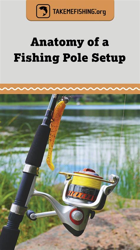 Fishing Pole Setup for Beginners | Fishing for beginners, Fishing pole, Boating tips