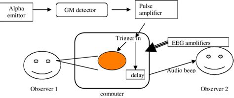 The experimental set-up of the present replication experiment. (Note ...