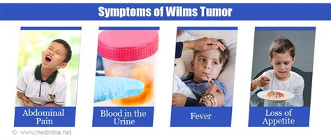 Wilms Tumor - Causes, Symptoms, Diagnosis, Treatment & Prevention