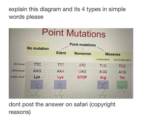 Solved explain this diagram and its 4 types in simple words | Chegg.com