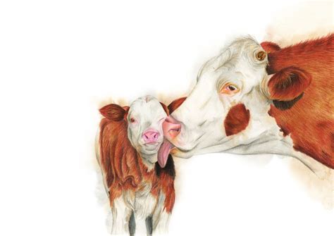 Mother and Calf by Hummingbird26 on @DeviantArt | Cow calf, Watercolor ...