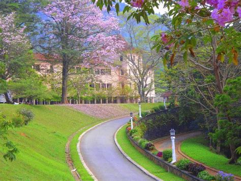 University of Peradeniya - | Landscape, Beautiful nature, Scenic