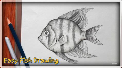 Pencil Drawings Of Fish