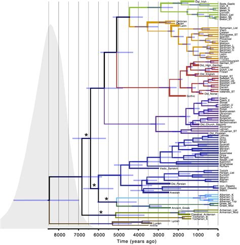 File:Language - Tree of Indo-European Languages.jpg - TheAlmightyGuru