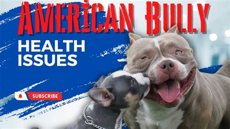 American Bully Health Issues: Common Health Problems in Bullies - YouTube