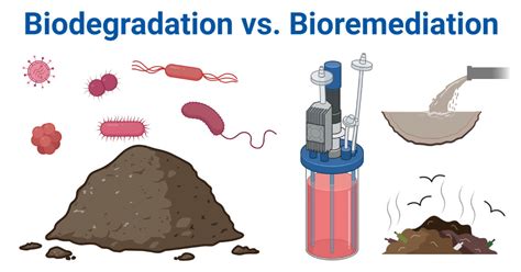 Biodegradation vs. Bioremediation: 6 Differences, Examples