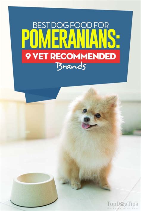 Best Dog Food for Pomeranians: 9 Vet Recommended Brands