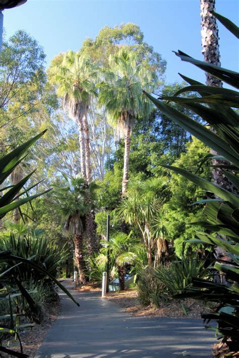 Kokoda Track Memorial Walk Rhodes - Destination's Journey