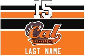 Cal Grizzlies Lacrosse Team Sticker Package