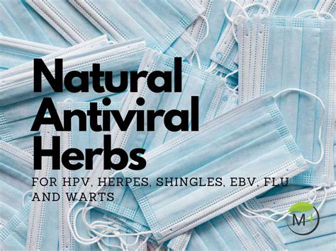 The 14 Best Antiviral Herbs for HPV, Herpes, Shingles, EBV, Flu and Warts