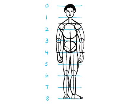 Daily Drawing No. 78: Body proportions – creolened.com