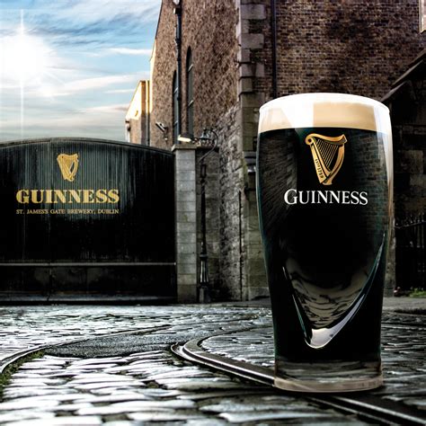 Guinness / Guinness Stout Beer 320ml X 24 Whisky My / Guinness (/ˈɡɪnɪs ...