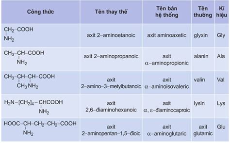 Amino axit là gì? Công thức hóa học của các amino axit thường gặp và ...