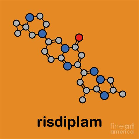 Risdiplam Spinal Muscular Atrophy Drug Molecule Photograph by Molekuul/science Photo Library