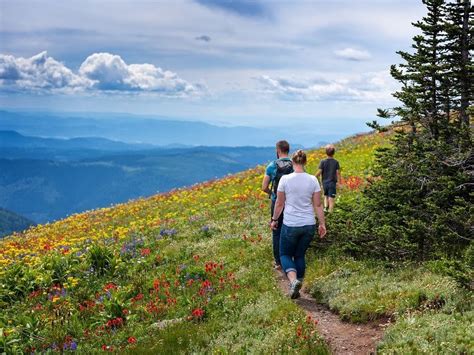 Our favourite hiking trails in Sun Peaks | Sun Peaks, British Columbia travel inspiration ...