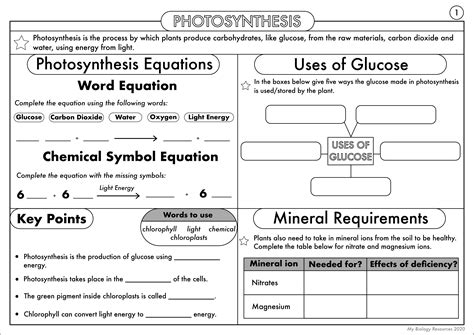 GCSE Biology: Complete Worksheet Pack on the Plant Nutrition (photosynthesis) Topic | Teaching ...