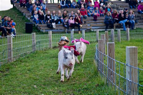 Richardson Farm: Beyond A-Maze-ing — McHenry County Living