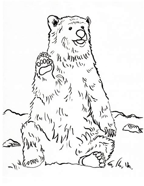 Grizzly Bear Coloring Page - Samantha Bell