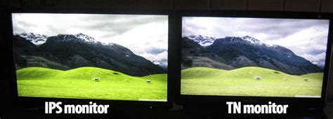 TN vs IPS vs VA: Which is the Best Monitor Display for Gaming?