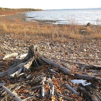 Lesser Slave Lake Provincial Park - Slave Lake | Alberta - 1000 Towns of Canada