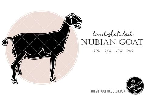 Nubian Goat Sketch Vector - So Fontsy