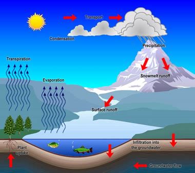 Earth Science assignment help : Earth Science Homework help