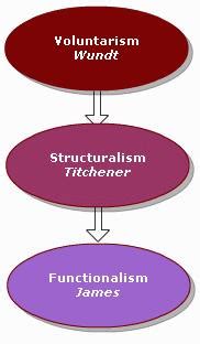 Edward Titchener & Psychology: Contributions, Overview - Video & Lesson Transcript | Study.com