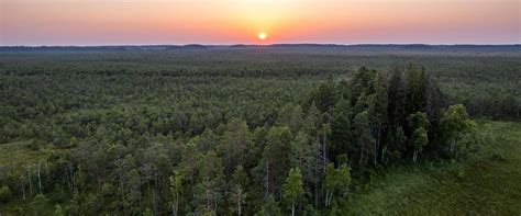 Nature Tours Estonia wetland tour and spending the night on a wild island