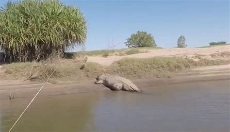 Fraser Coast fisherman Craig Logue spots crocodile at River Heads | The Courier-Mail