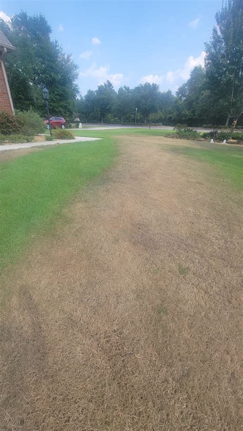 Zoysia lawn looks terrible. Help! | Lawn Care Forum